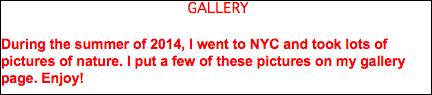 &nbsp;GALLERY During the summer of 2014, I went to NYC and took lots of pictures of nature. I put a few of these pictures on my gallery page. Enjoy!
